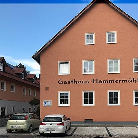 Landgasthof-Hotel Hammermuehle 多瑙斯陶夫 外观 照片