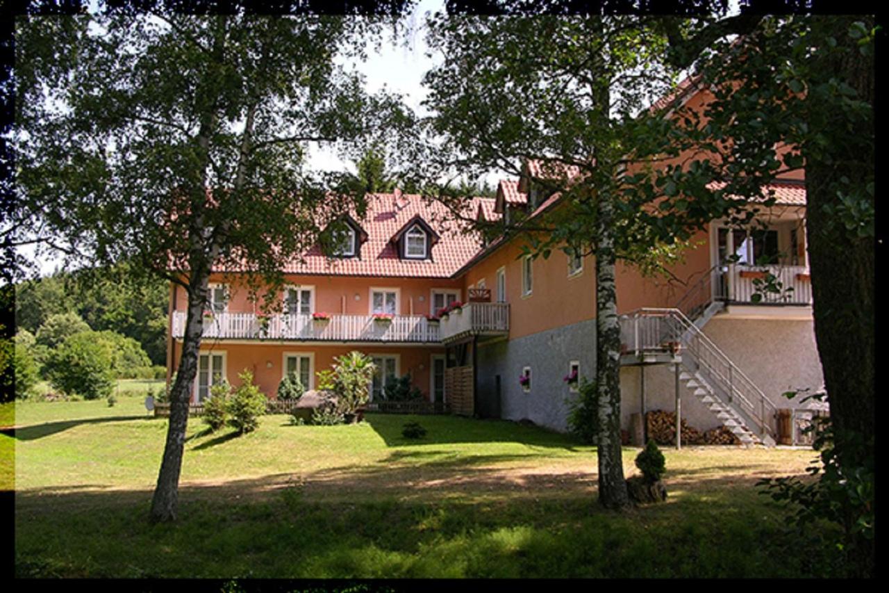 Landgasthof-Hotel Hammermuehle 多瑙斯陶夫 外观 照片