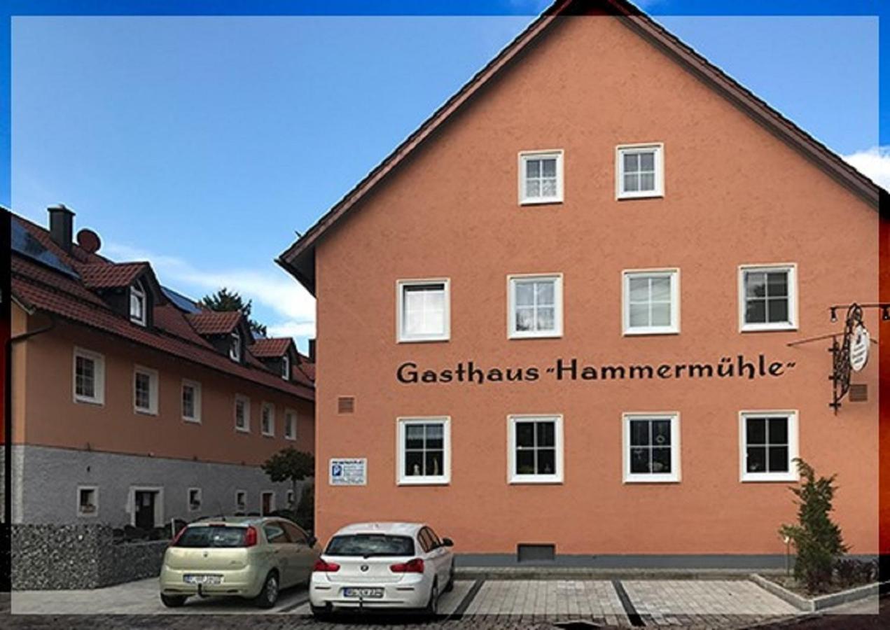 Landgasthof-Hotel Hammermuehle 多瑙斯陶夫 外观 照片
